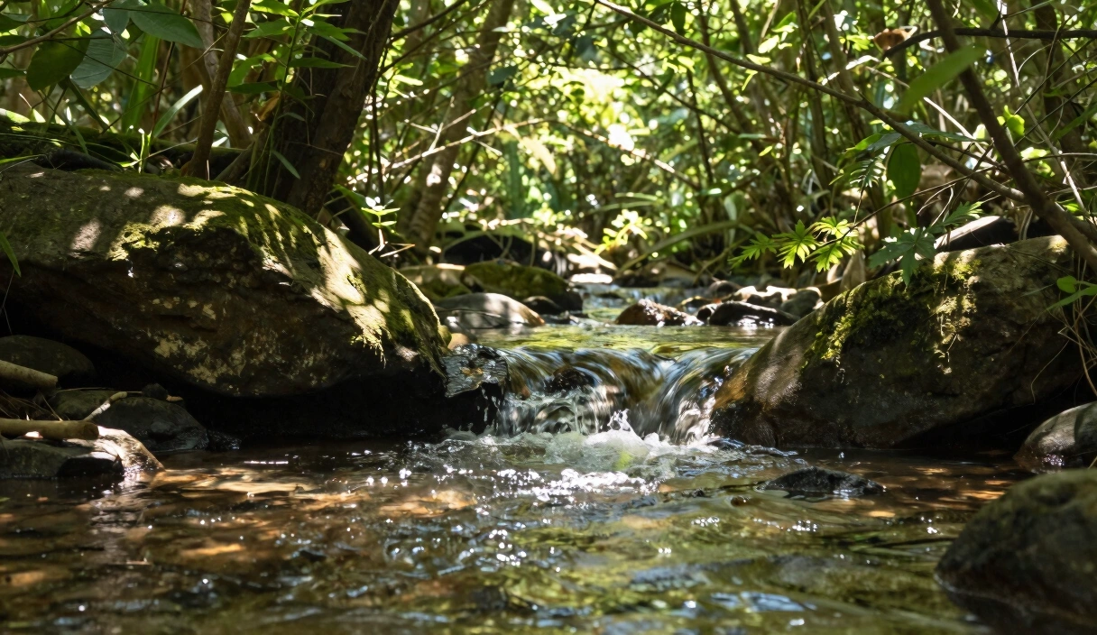 Bible Verses About Healing: 17 Scriptures for Body and Soul