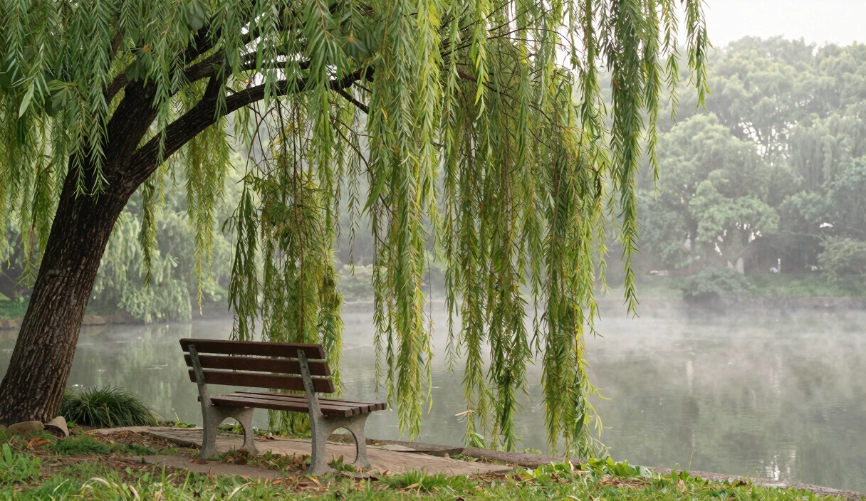 Mental Health & Inner Peace